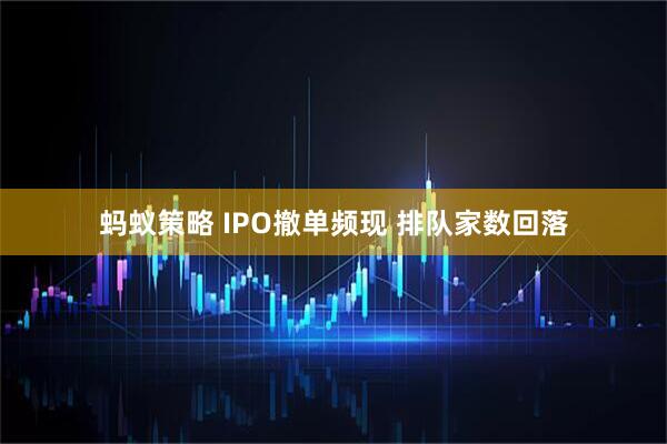 蚂蚁策略 IPO撤单频现 排队家数回落