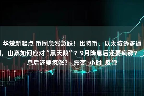 华楚新起点 币圈急涨急跌！比特币、以太坊诱多逼空？牛市也回调，山寨如何应对“黑天鹅”？9月降息后还要疯涨？_震荡_小时_反弹