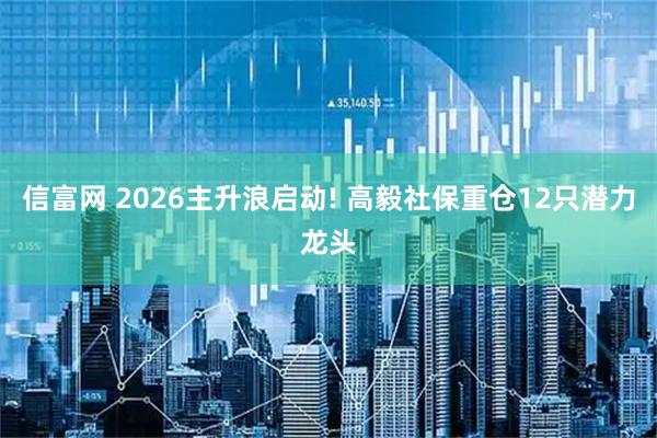 信富网 2026主升浪启动! 高毅社保重仓12只潜力龙头
