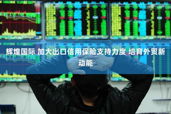 辉煌国际 加大出口信用保险支持力度 培育外贸新动能