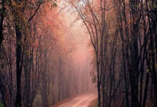 突破平台股票:从手机上怎么买股票-被裁定大部分关税“非法”！特朗普政府打到最高法 前景如何？输了要赔光？